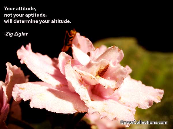Zig Ziglar Quotes3